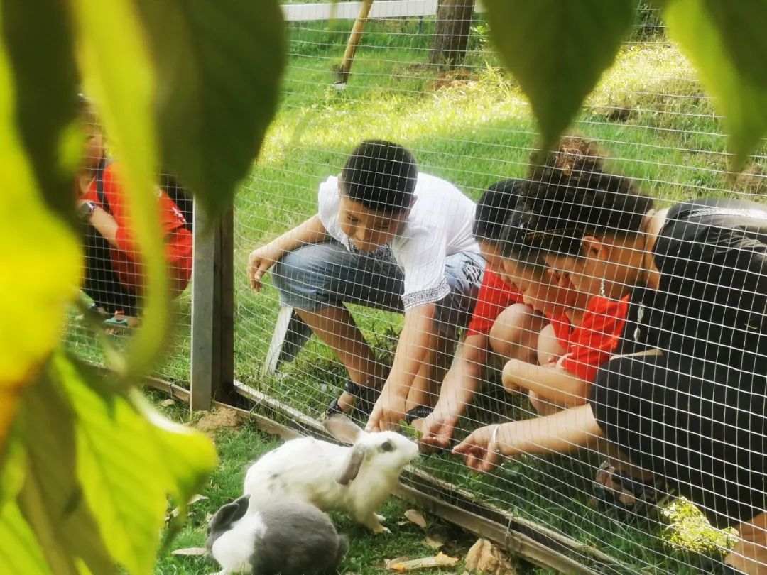 1658886729541995.jpg 1658886729541995.jpg